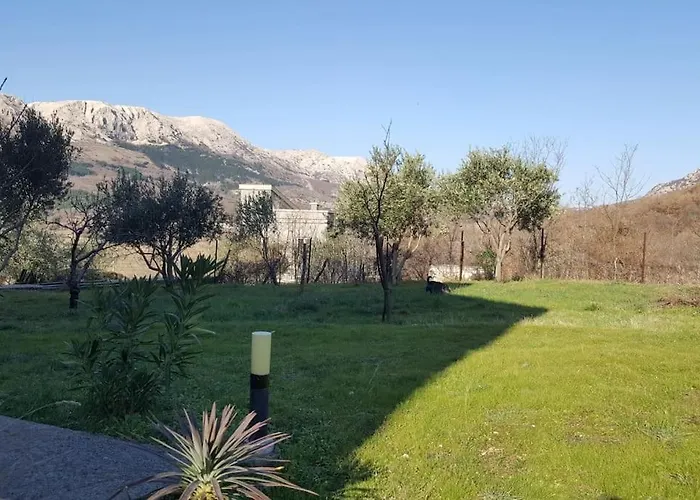 Petra, Baska *