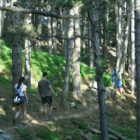 Lägenhet Petra, Baska