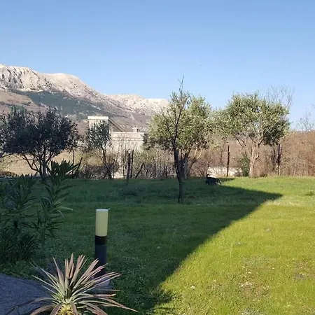 Petra, Baska *
