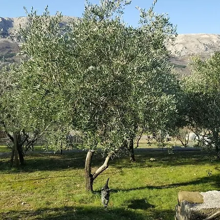 Petra, Baska