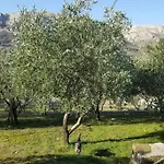 Petra, Baska