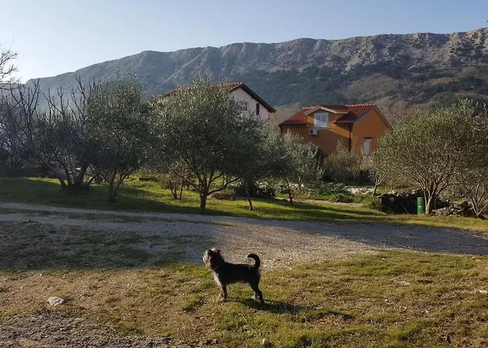 Daire Petra, Baska *